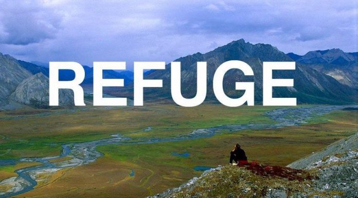 God, You Abandoned Me