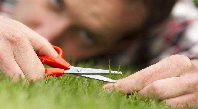 Are You A Perfectionist?