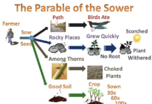 THE PARABLE OF THE SOWER