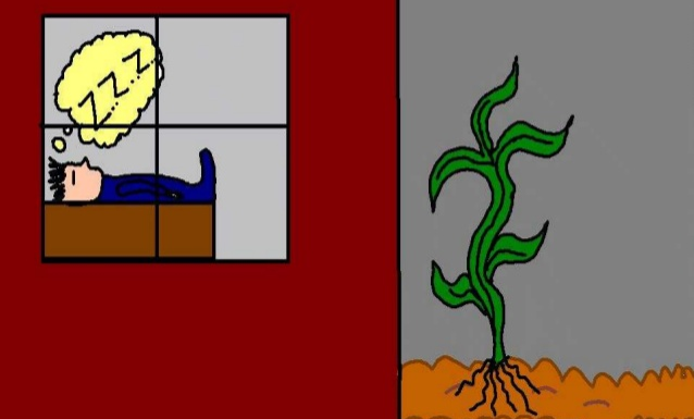 THE PARABLE OF THE SEED