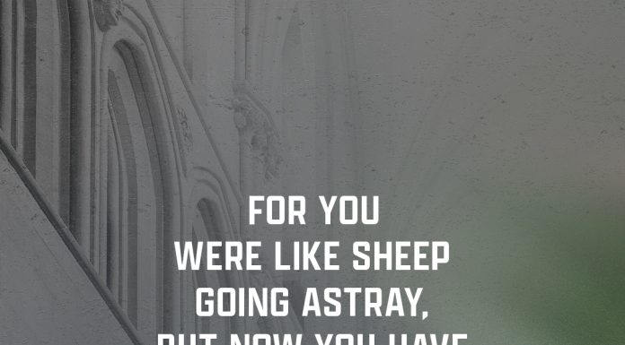 Part 2 The Benefit of Doubt: God Can Handle Your Questions